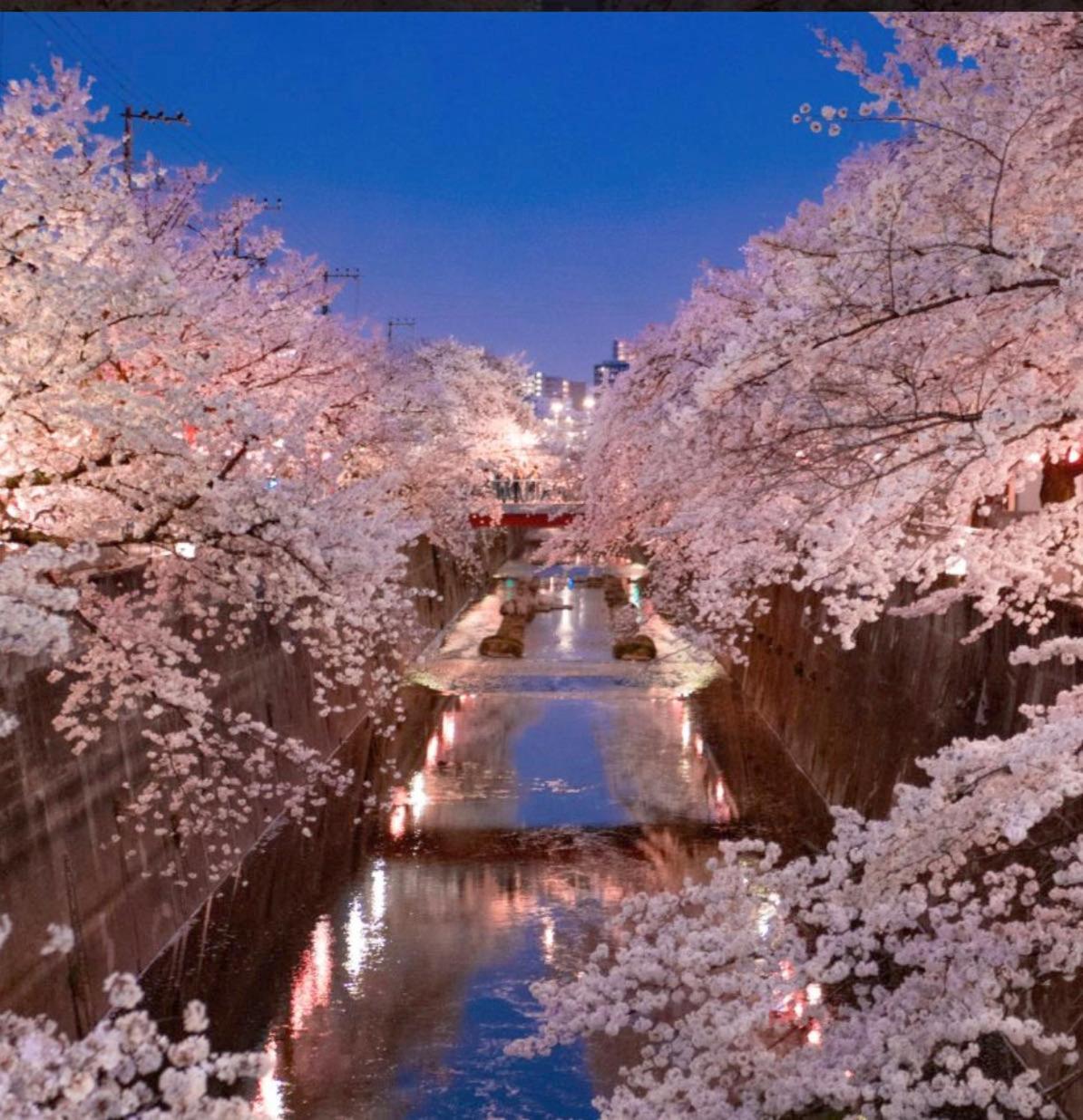 Apartment 花乃郷 板橋 Tokyo